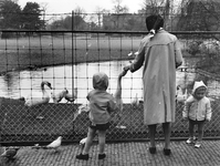 361015 Afbeelding van een moeder met twee kinderen tijdens het voeren van de vogels in het park Oog in Al te Utrecht.